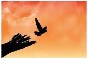 Liberation - Freed from or opposed to traditional social and sexual attitudes or roles.
