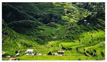 Province - A principal administrative division of a country or empire.