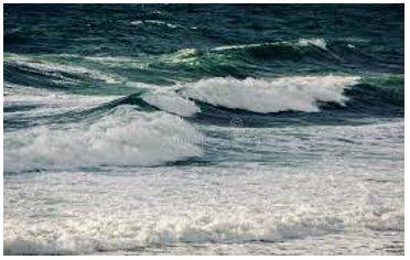 Surged - Increase suddenly and powerfully.