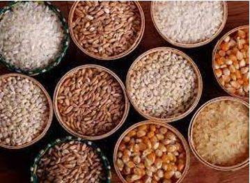 Provision - The action of providing or supplying something for use.