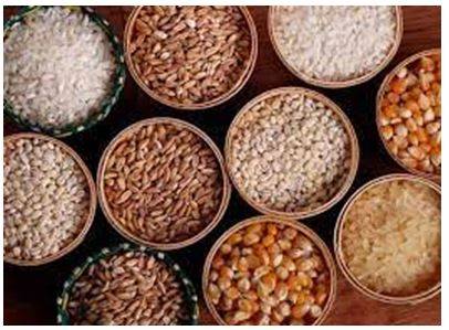 Provision - The action of providing or supplying something for use.