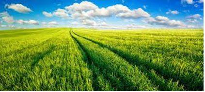 Vast - Of very great extent or quantity.