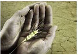 Starvation - Suffering or death caused by lack of food.