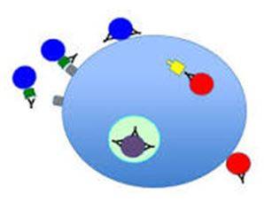 Neutralize - Make (something) ineffective by applying an opposite force or effect.