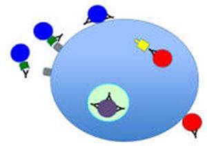 Neutralized - Make (something) ineffective by applying an opposite force or effect.