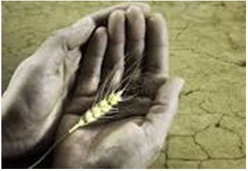 Starvation - Suffering or death caused by lack of food.