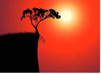 Brink - The extreme edge of land before a steep slope or a body or water.