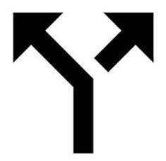 Diversion - Cause (someone or something) to change course or turn from one direction to another.