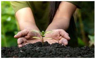 Conservation - To keep and protect something from damage, change, or waste.