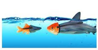 Deceiving - Giving an appearance or impression different from the true one.