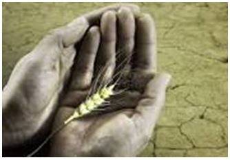 Starvation - Suffering or death caused by lack of food.