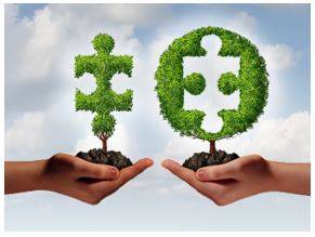 Affiliated - Connected with or controlled by a group or organization.