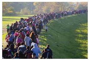 Migrated - Movement from one part of something to another.