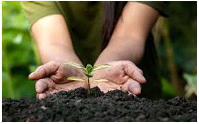 Conservation - To keep and protect something from damage, change, or waste.