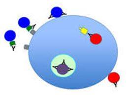 Neutralize - Make (something) ineffective by applying an opposite force or effect.