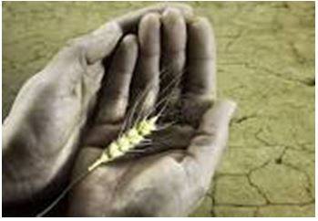 Starvation - Suffering or death caused by lack of food.