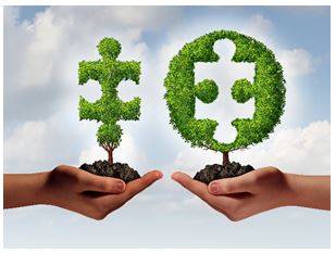 Affiliated - Connected with or controlled by a group or organization.