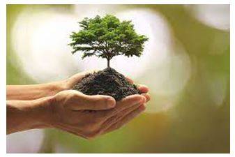Prosperity - Successful in material terms