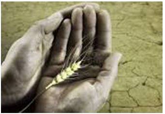 Starvation - Suffering or death caused by lack of food.