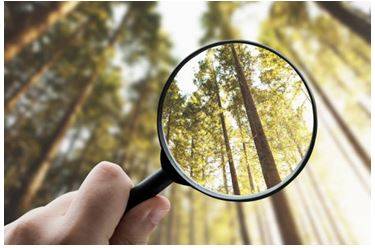 Explicitly - Stated clearly and in detail, leaving no room for confusion or doubt.