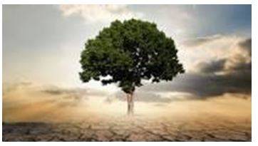 Thriving - Prosperous and growing.