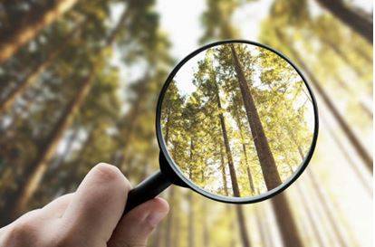 Explicitly - Stated clearly and in detail, leaving no room for confusion or doubt.