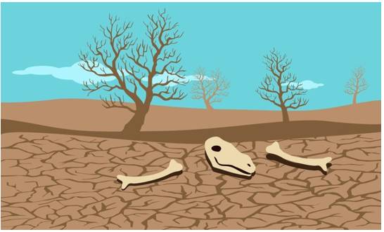 Barren - Unable to produce vegetation, crops, or offspring; unproductive.