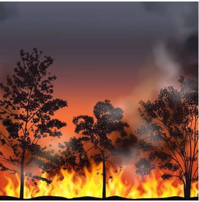 Conflagration - A large destructive fire that spreads quickly; an extensive conflict or war.