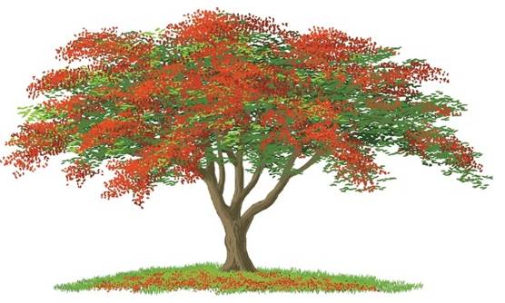 Florid - Having a red or flushed complexion; excessively intricate or elaborate in style.